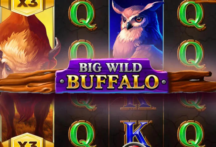 Live dealer games with B9 Casino 125% Welcome Bonus