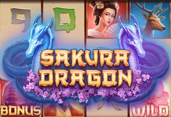 Excited player wins a jackpot playing B9 Casino online bingo.